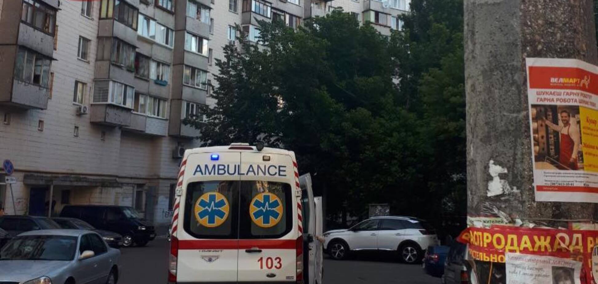 'Постійно нападають': у Києві хижаки почали атакувати людей прямо на вулицях