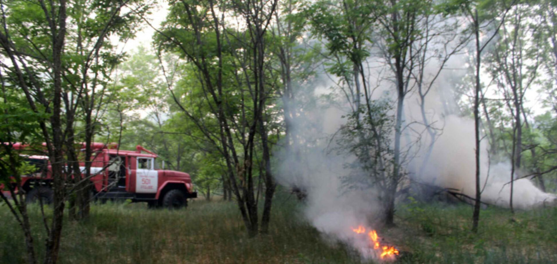 Масштабна пожежа в Чорнобилі: з'явилися свіжі фото і відео
