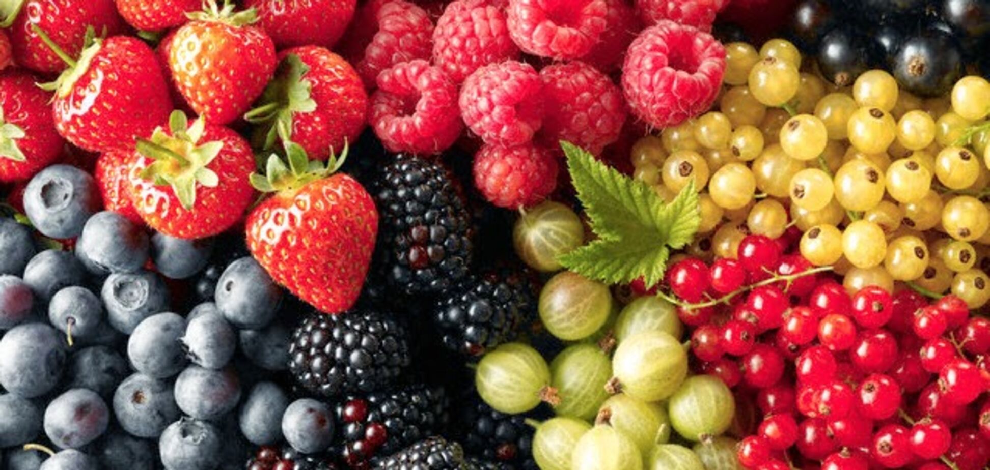 В Украине начался сезон ягод: полезные советы покупателям