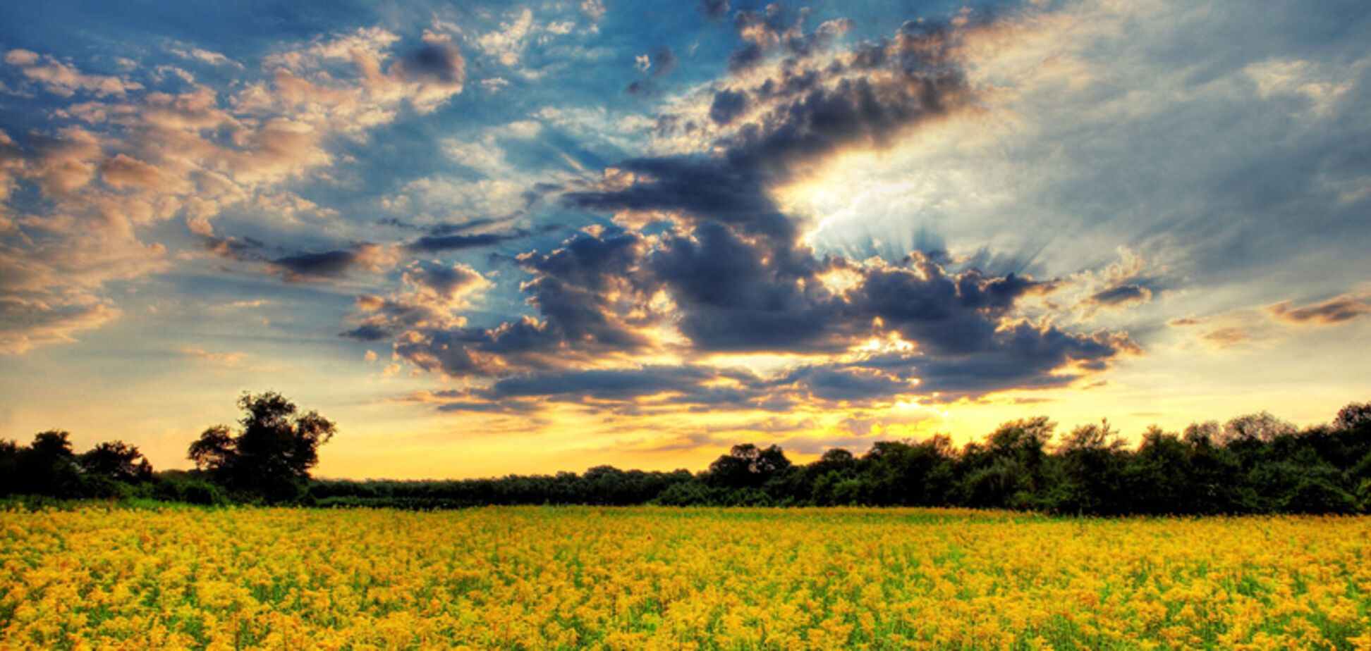 Погода в Украине