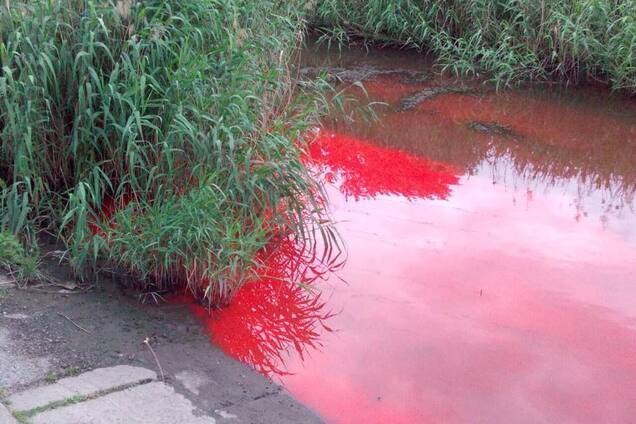 Как кровь: река в Запорожье внезапно поменяла цвет