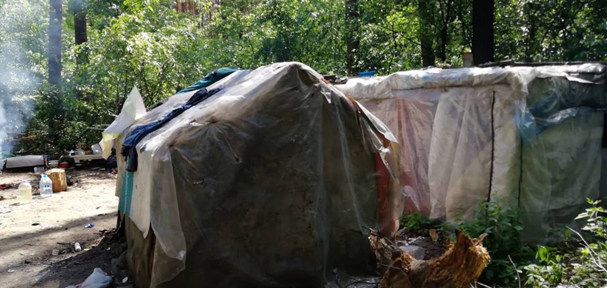 'Бросались камнями и кирпичами': в Киеве табор ромов захватил национальный парк