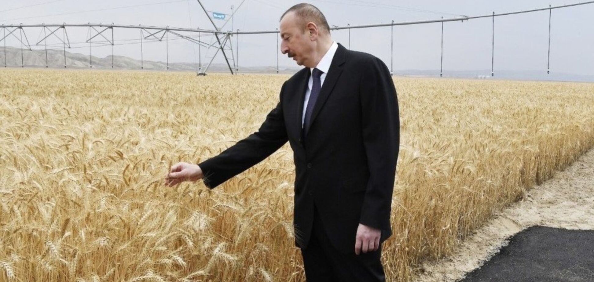 Ковры забыли: фото президента Азербайджана в полях вызвало волну насмешек
