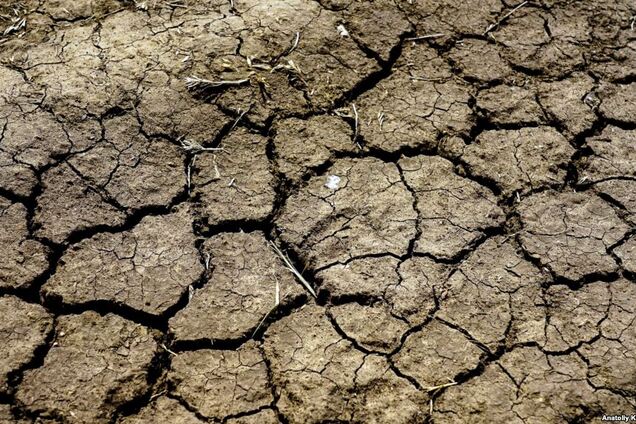 Засуха в Крыму: в сети показали, во что Россия превратила полуостров