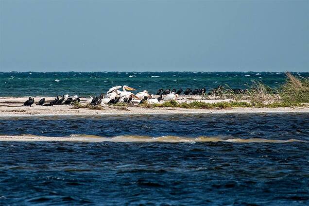 Остров в Азовском море: опубликованы удивительные фото