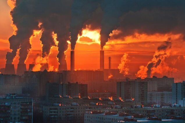 Массовое вымирание: экологи спрогнозировали глобальную катастрофу