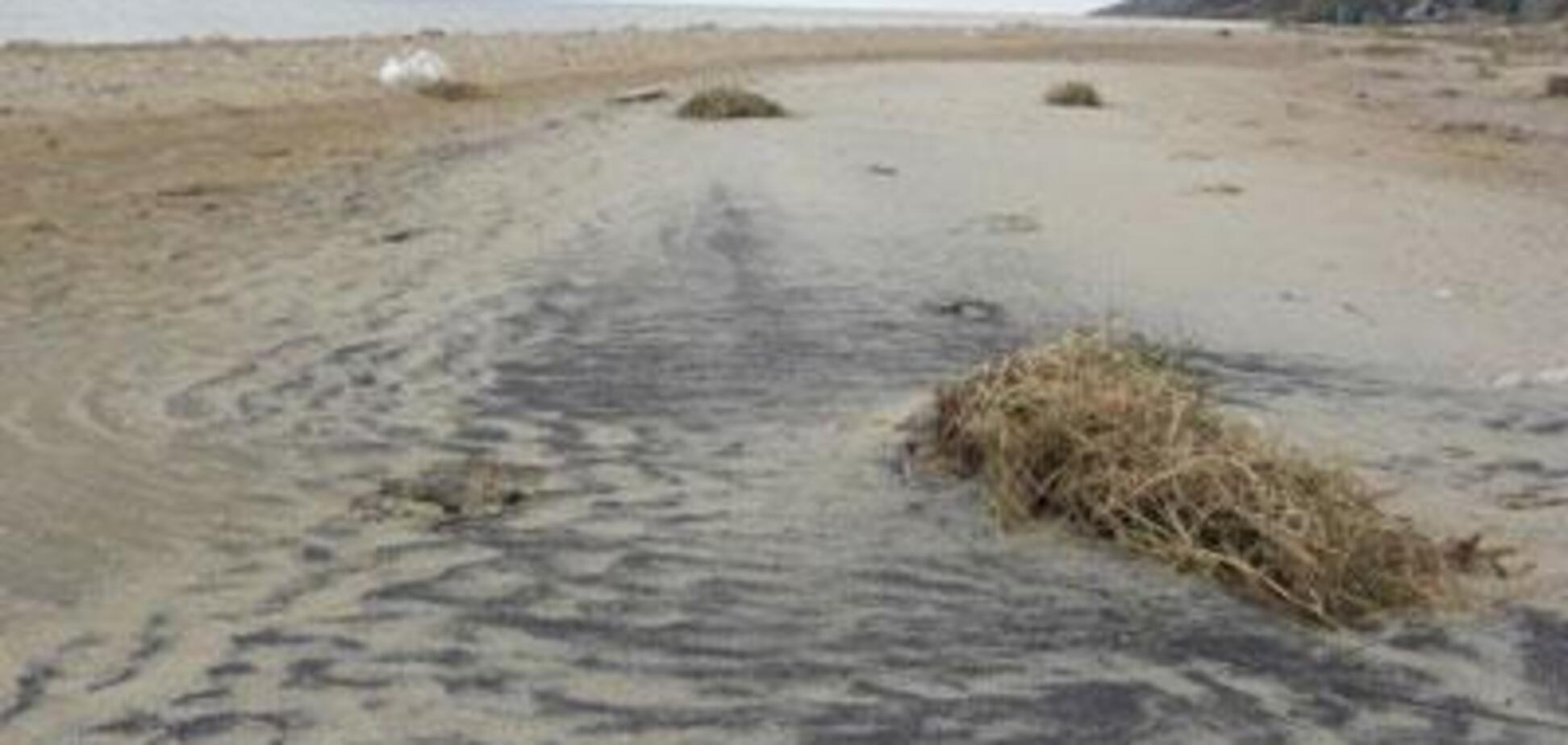 На украинском курорте обнаружили радиоактивный песок