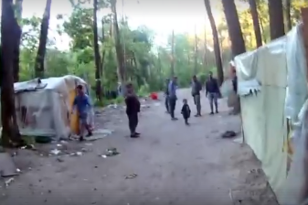 Розгром табору у Києві: опубліковано відео нападу ромів на еколога у Голосіївському парку