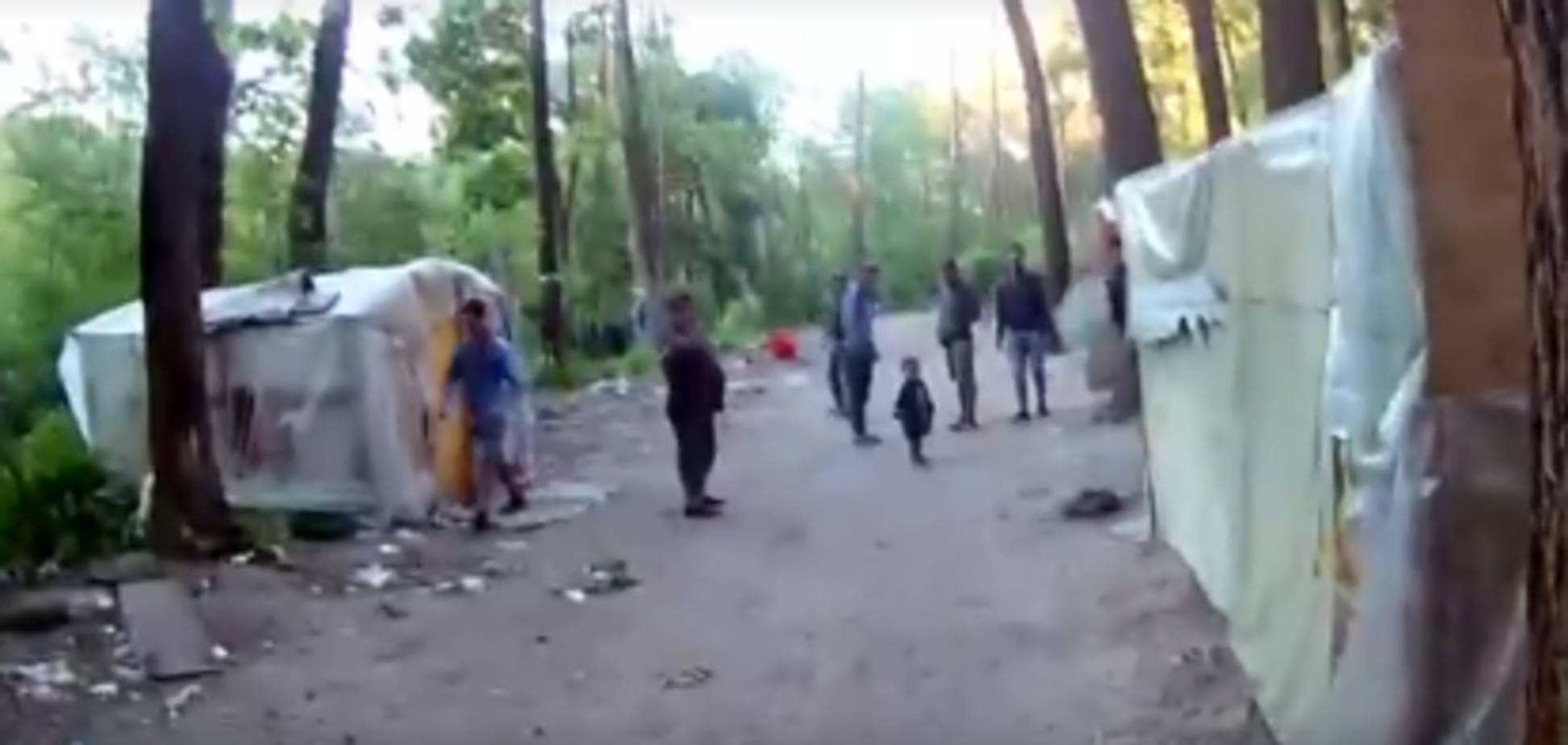 Разгром табора в Киеве: опубликовано видео нападения ромов на эколога в Голосеевском парке 