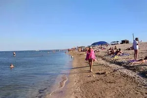 В Украине обнаружили холеру? Все подробности
