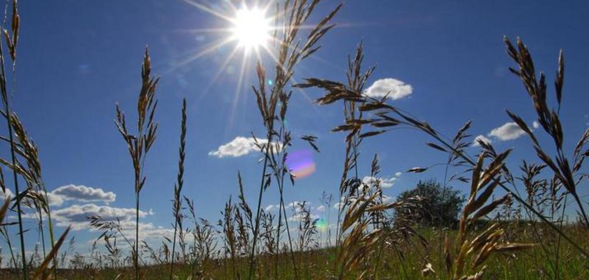 'Рождество будет с морозом': синоптик рассказала украинцам о погоде на Петра и Павла
