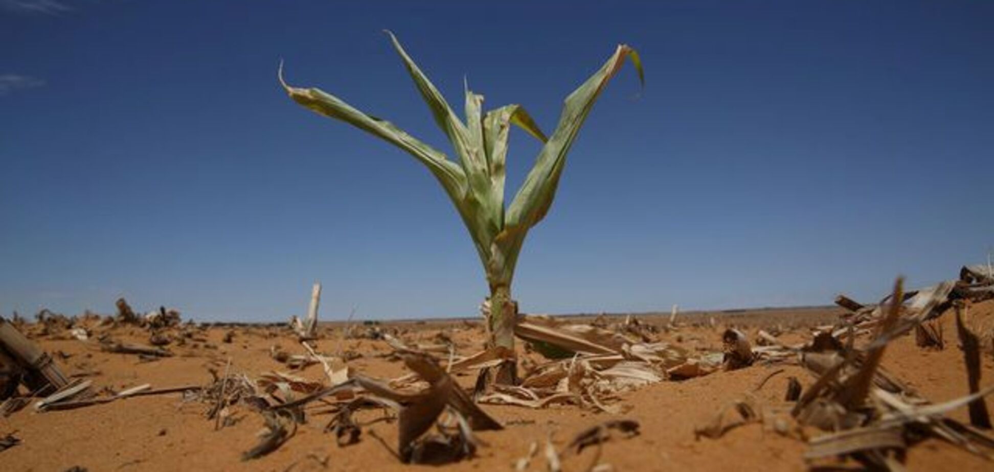 Крым засыхает: показаны масштабы катастрофы