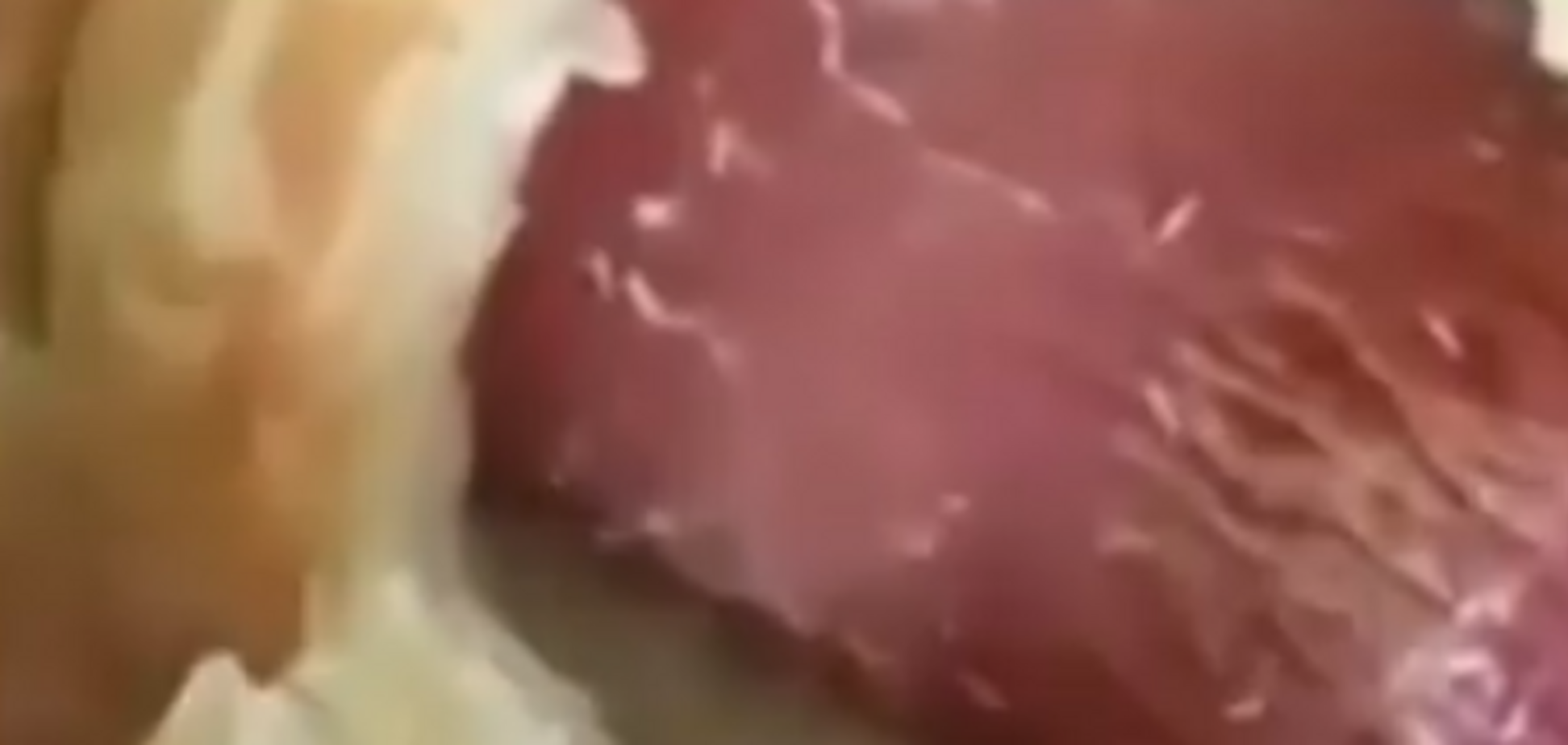 Кишит опарышами: в сети показали мерзкую начинку в популярном продукте