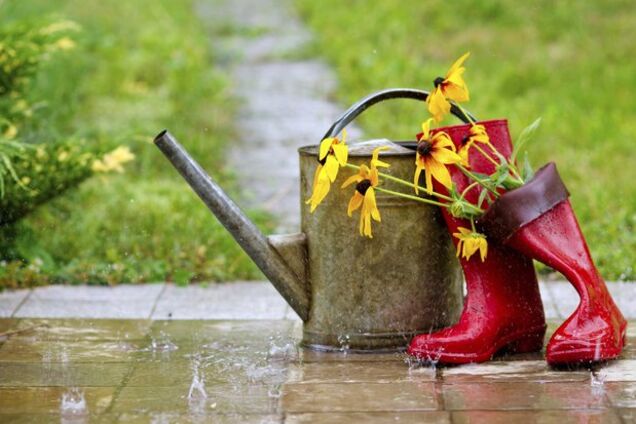 Заллє всю Україну: синоптики уточнили прогноз погоди