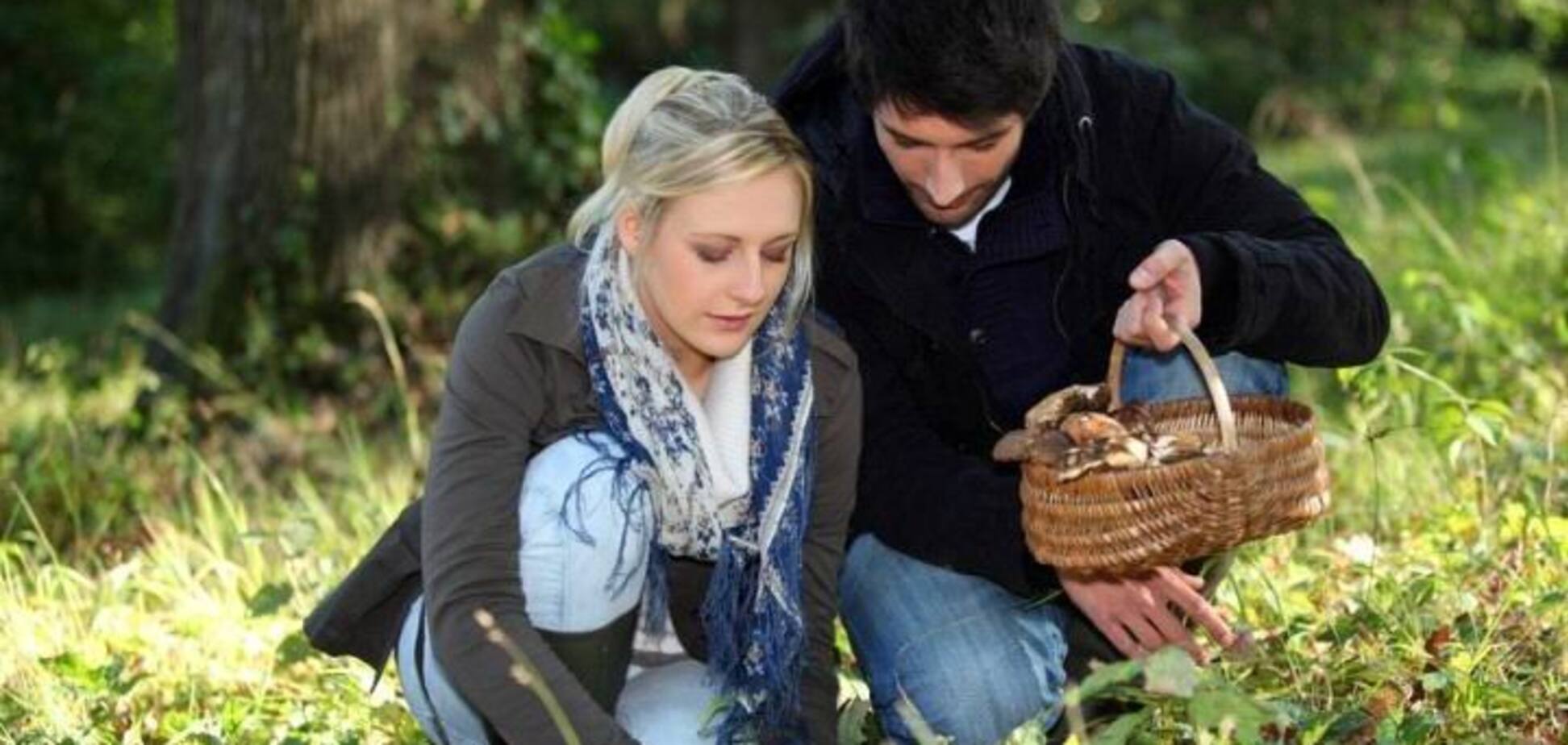 Грибные места в Украине: куда идти на тихую охоту