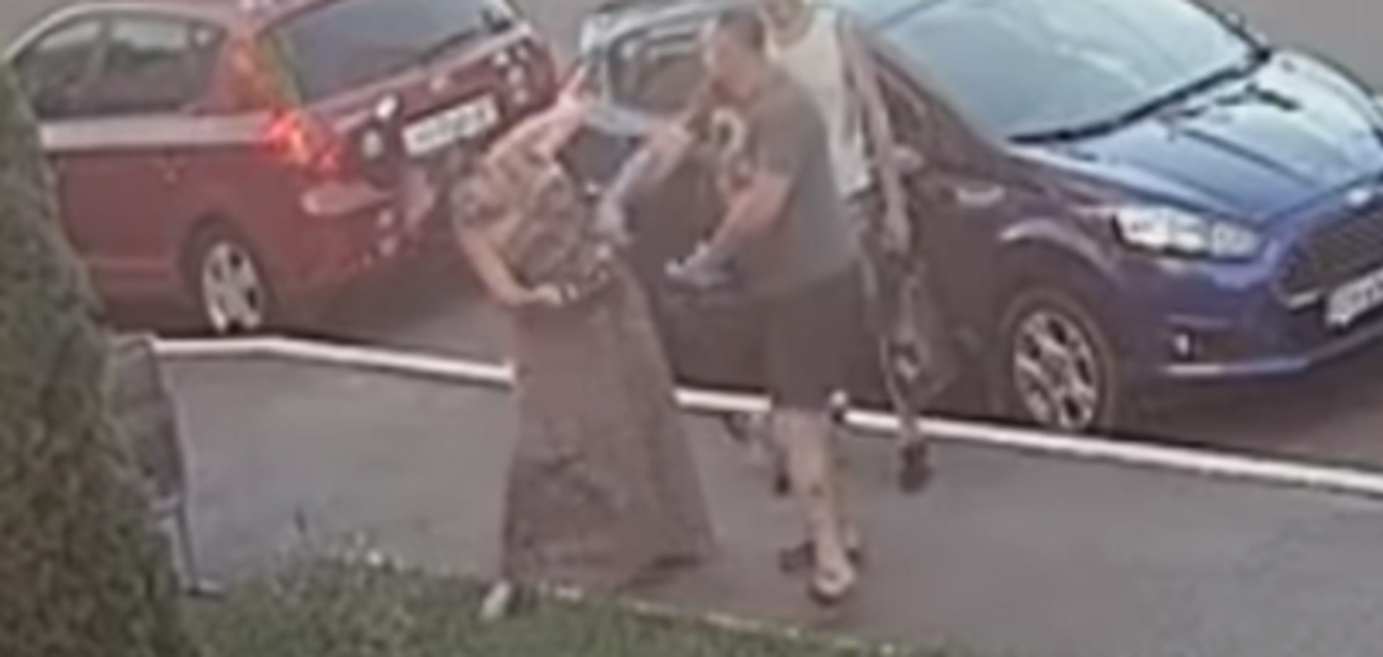 'Врубав рукою-кувалдою!' У Києві самбіст-УКРОПівець напав на жінку через собаку