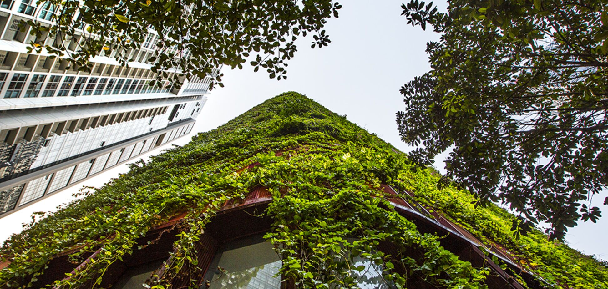 Покрыт лианами и деревьями: как выглядит лучший небоскреб в мире. Фото, видео