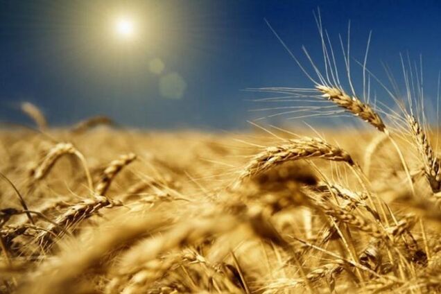 День незалежності України 2018: коли його відсвяткують