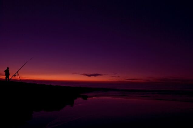Вона прийшла, гарна та холодна