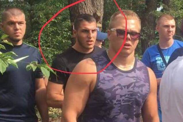 Массово вырубают лес ради ТЦ: стало известно о беспределе под Киевом