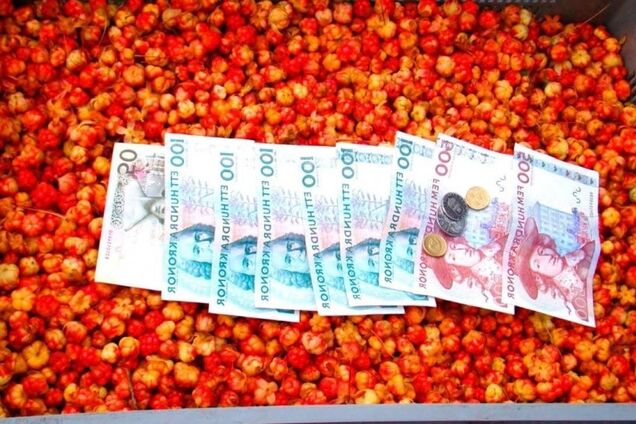 Торік понад 60% заробітчан з України працювали нелегально