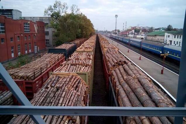 Контрабанда лісу в Україні: владі нагадали 'забутий' метод боротьби