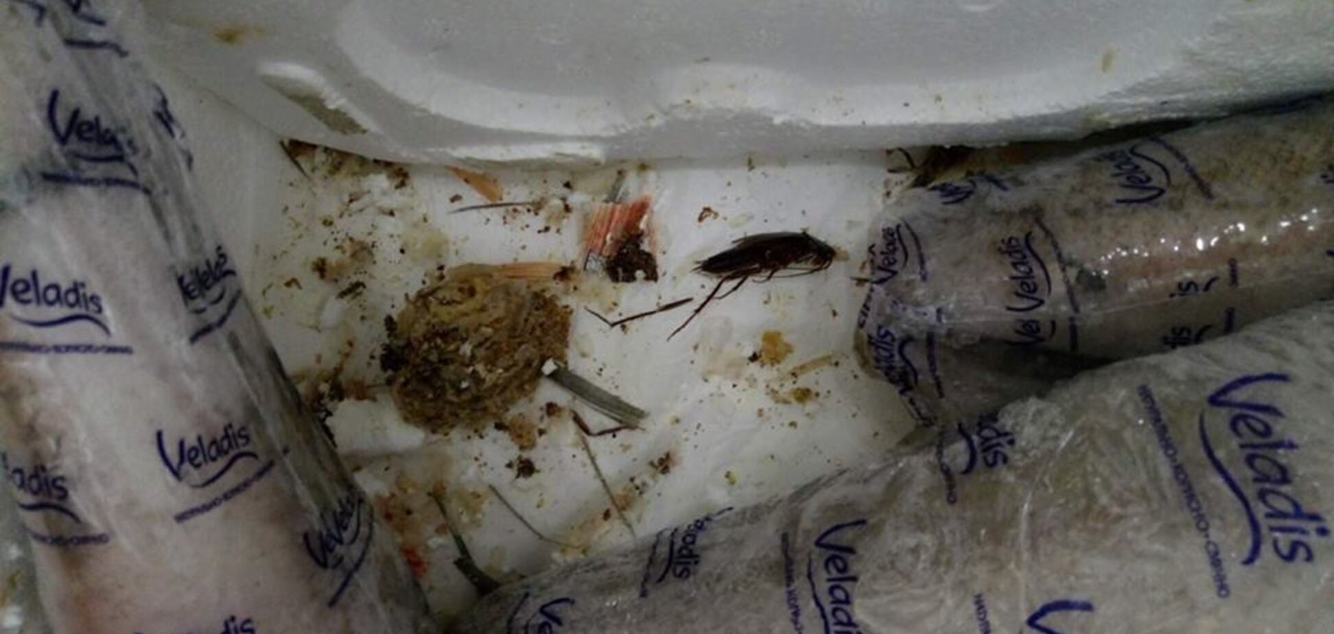 'Почем тараканы?' Отвратительная находка в супермаркете Киева возмутила покупателей
