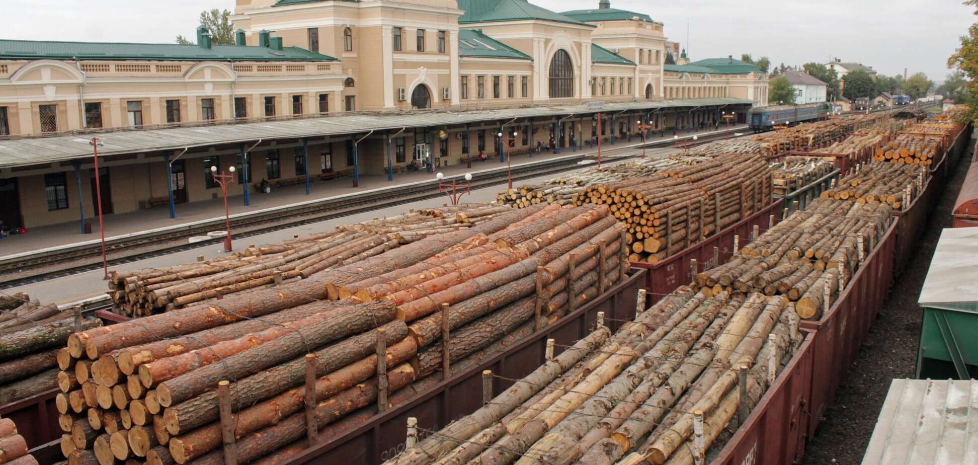 Контрабанда леса в Украине: назван способ покончить со схемами