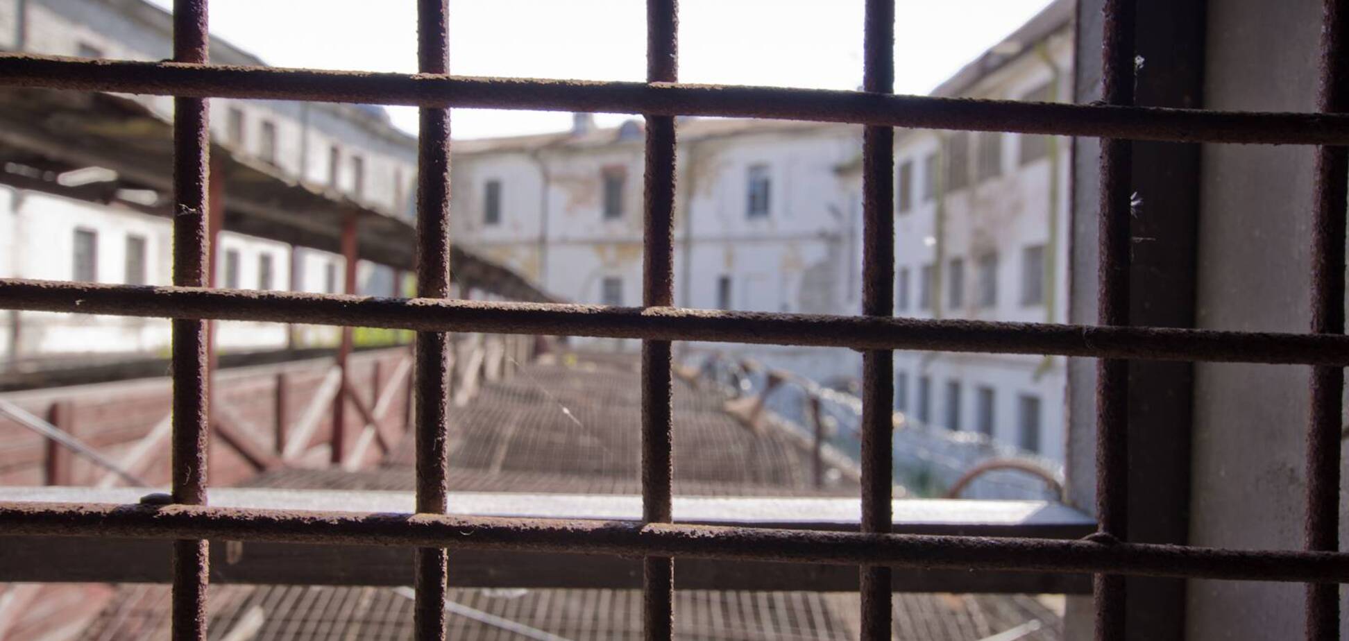 Контрабанді - бій: як українцям повернуть ліс і колосальні гроші