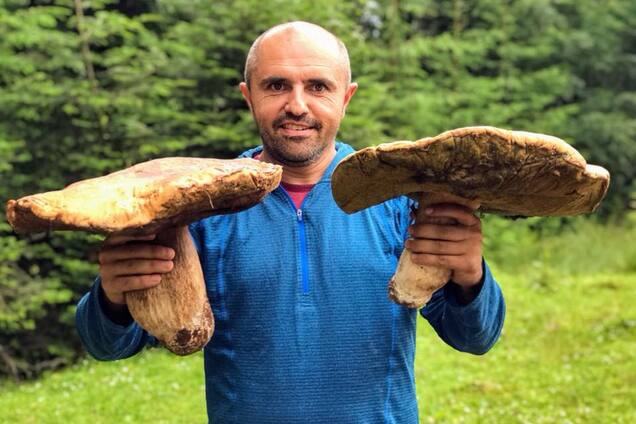 Размером с зонт: в Карпатах нашли огромные грибы