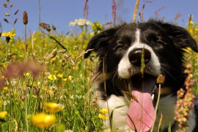 'Потерпите!' Синоптик рассказала, когда в Украину вернется теплая погода