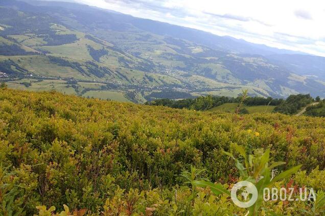 Снег в Карпатах? Появилось новое видео с места 'аномалии'