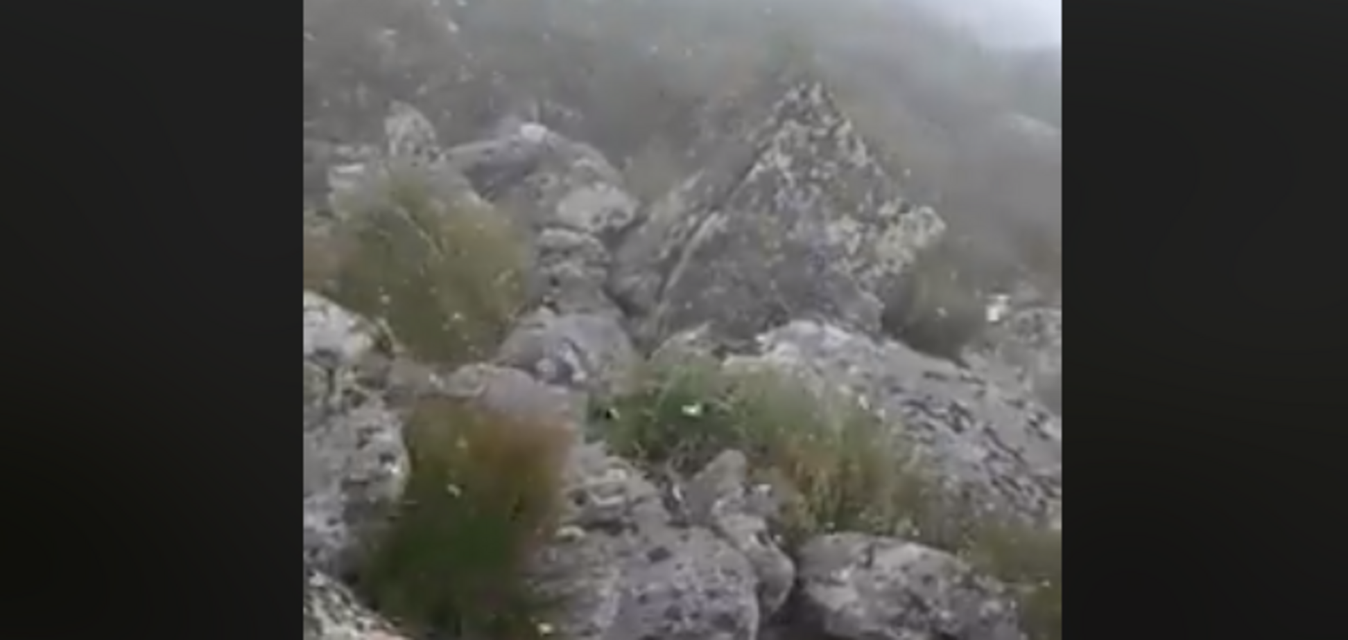 Карпати знову 'замело' снігом