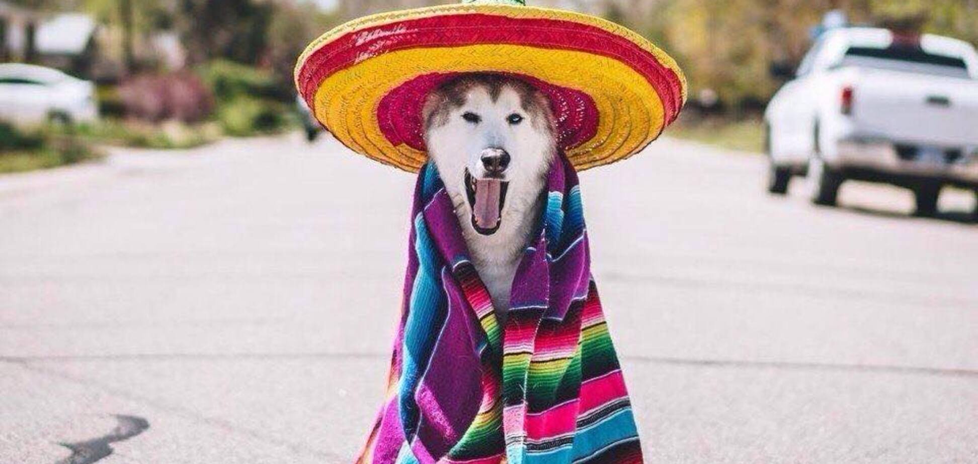 Анекдоты дня: лучшие приколы за 20 июля