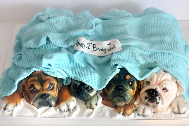 'Прояв шкуродерства!' Кондитера зацькували в мережі за реалістичні торти у вигляді тварин