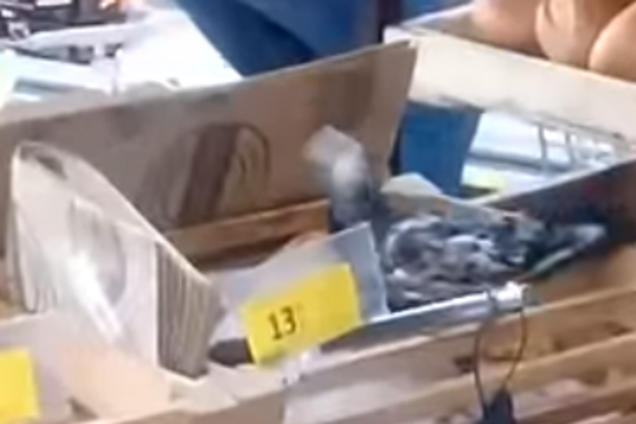 Дзьобав їжу: у відомому супермаркеті Києва помітили птаха