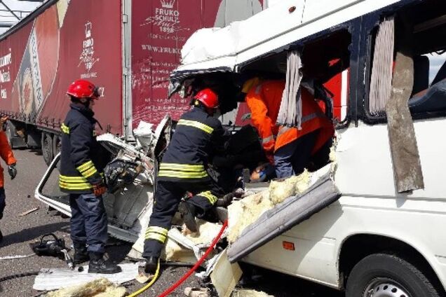 Зайняв і відправився без прав: подробиці жахливої ДТП під Житомиром