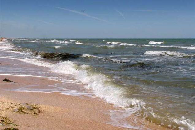 'Вычерпайте море': в России испугались минирования Азова Украиной