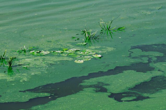 'Грозят опасные болезни': киевлян предупредили о токсичной воде