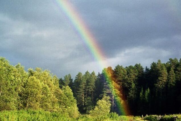 Спека й дощ: синоптики уточнили прогноз погоди в Україні