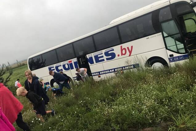 Под Киевом автобус с пассажирами вылетел в кювет: опубликованы первые фото и видео