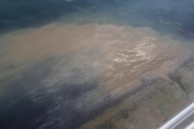 'Воняет д*рьмом': в сети показали, как курорт Одессы заливает стоками