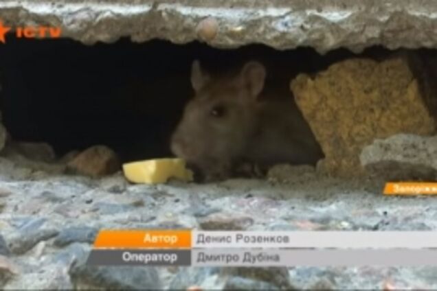 О жуткой многоэтажке в Запорожье рассказали на центральном ТВ (ВИДЕО)