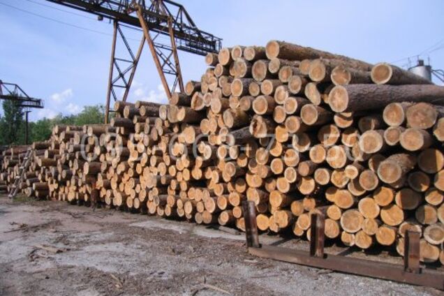 Выяснилось, почему Порошенко заблокировал борьбу с контрабандой леса