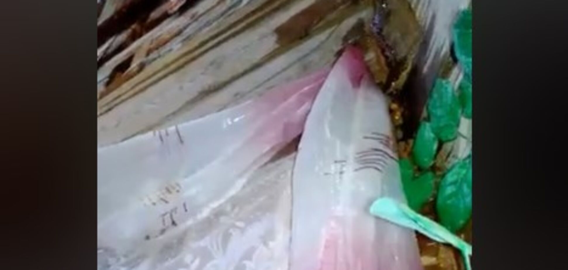 На Чернігівщині руйнується легендарна церква, в якій знімали 'Вія'