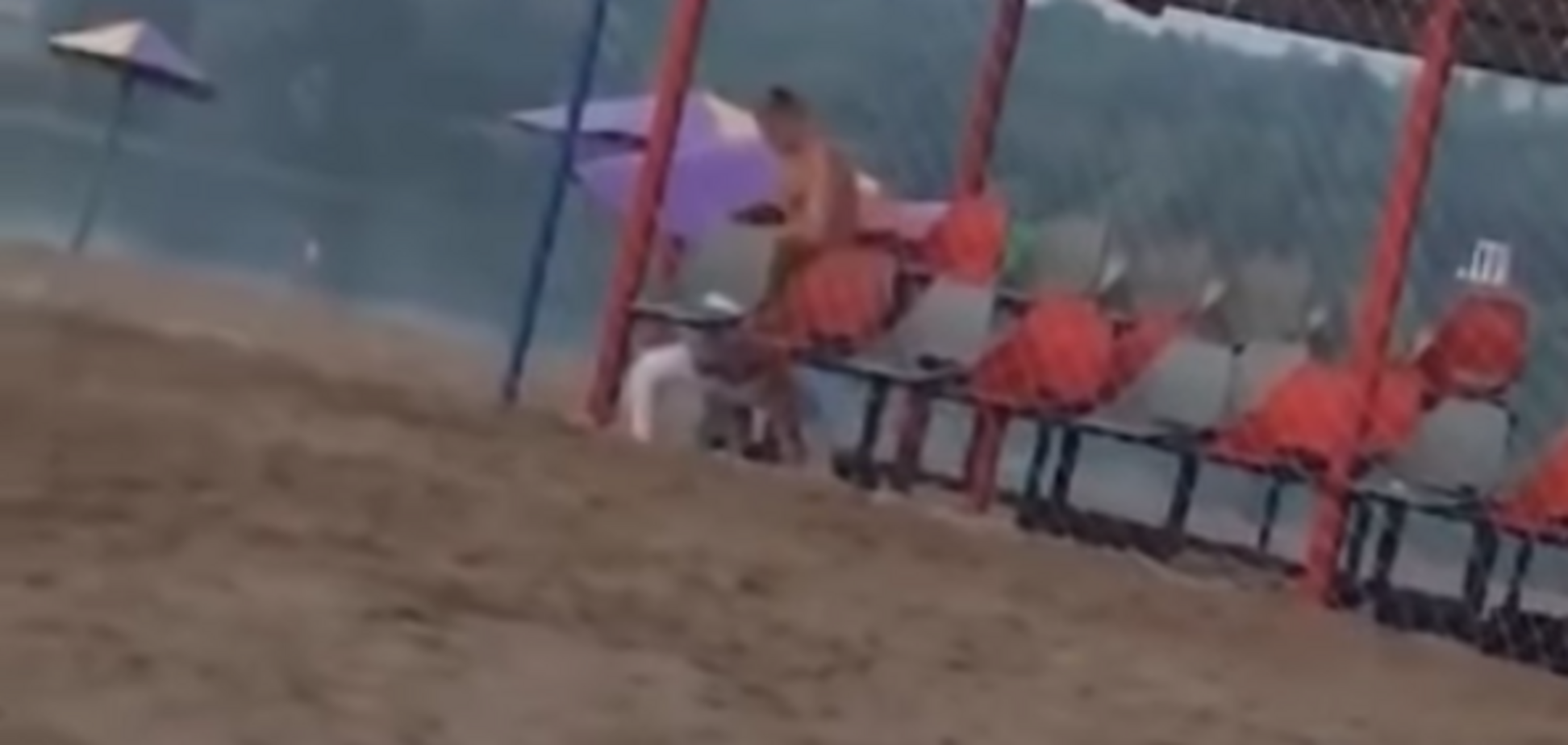 Скриншот из видео