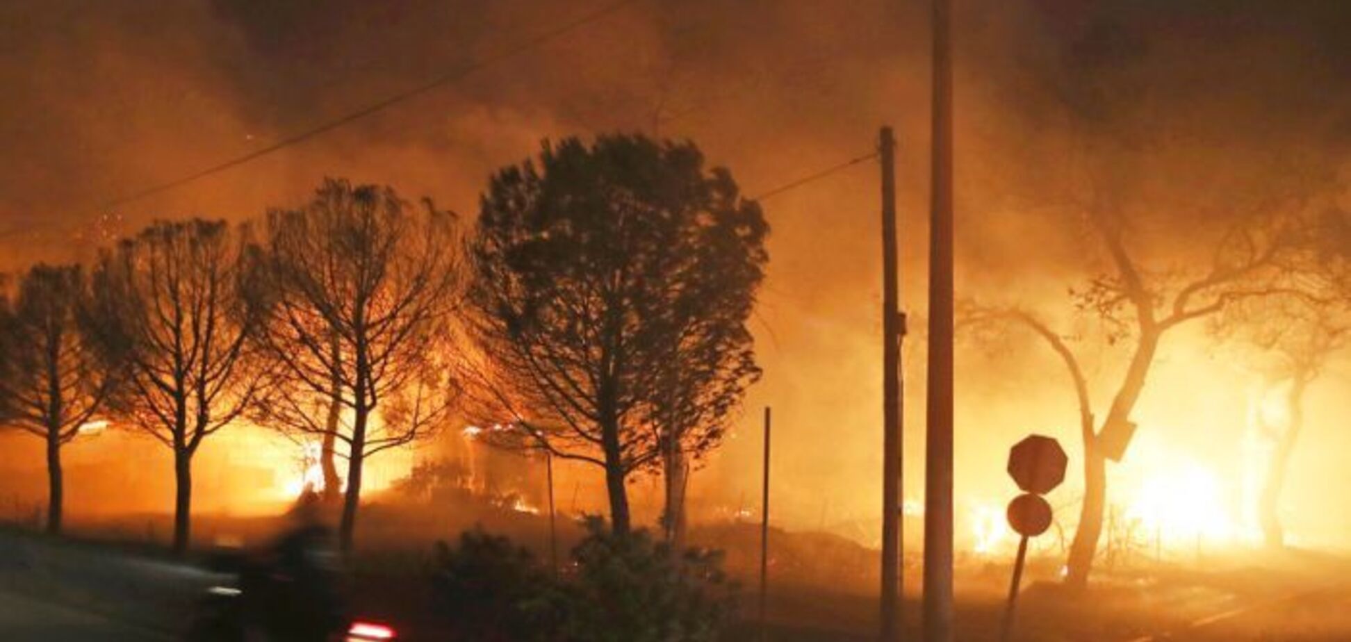 Масштабные лесные пожары охватили Грецию: 50 погибших, более 150 раненых