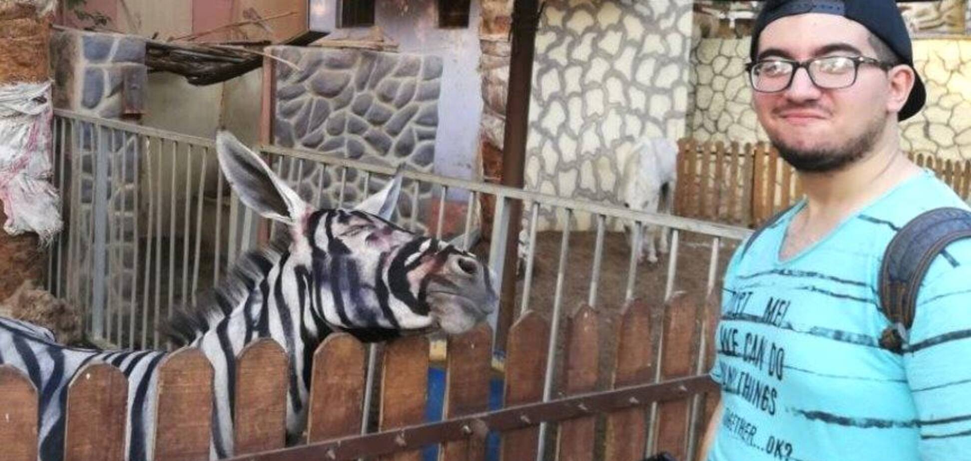 Ослы вместо зебр: зоопарк в Египте попался на забавном обмане