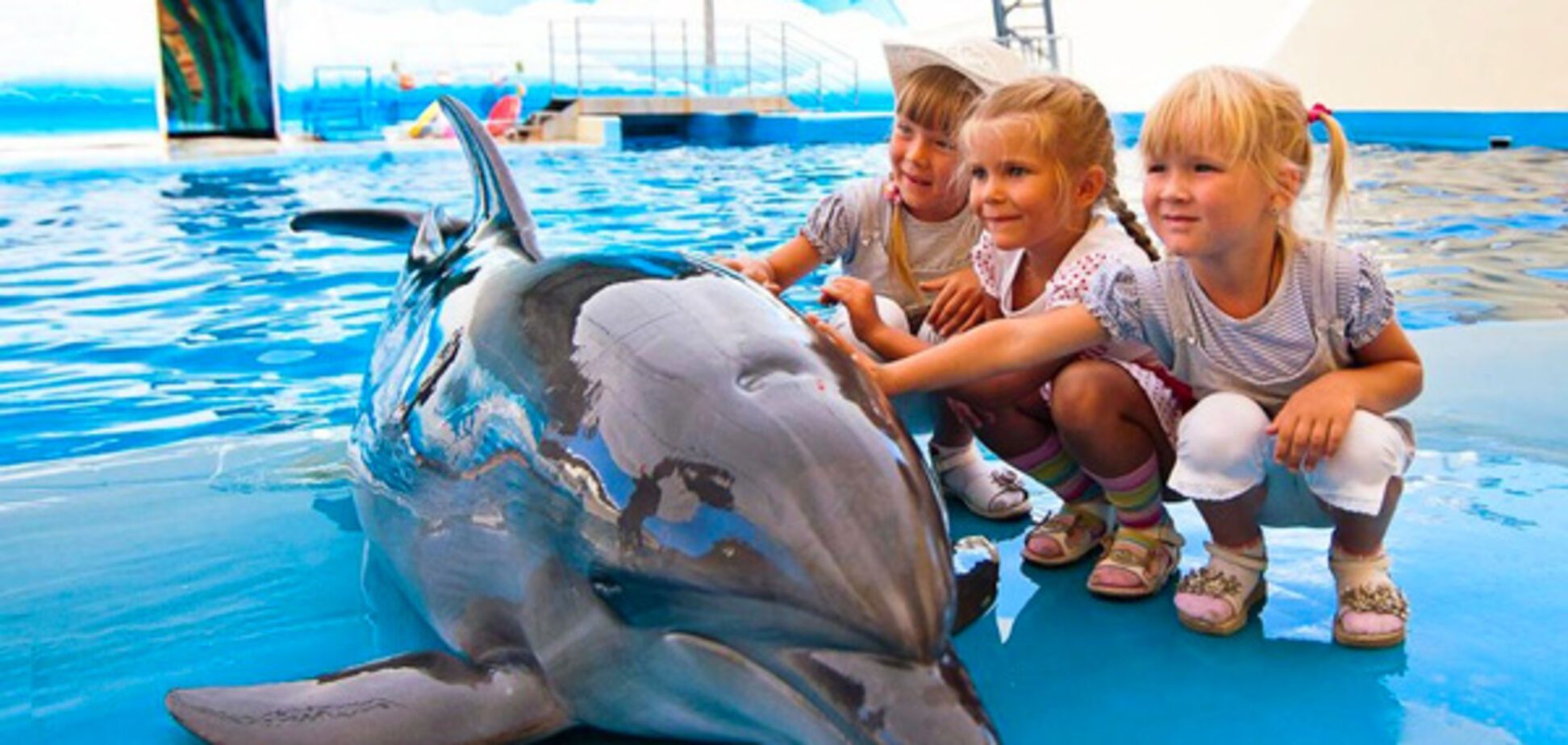 5 причин не відвідувати дельфінарій