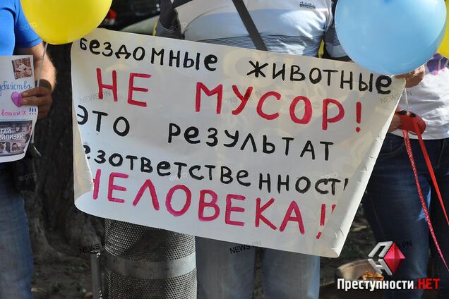 Скандал із убивством собак у Миколаєві: зоозахисники сурмлять тривогу